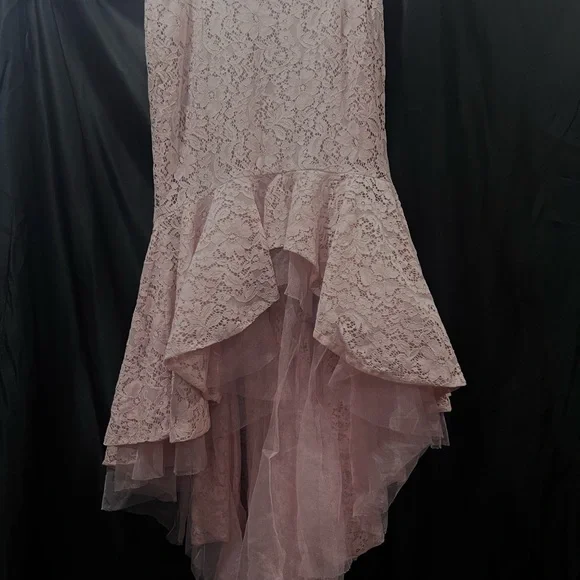 Ina Blush Lace Dress - Picture 1 of 5